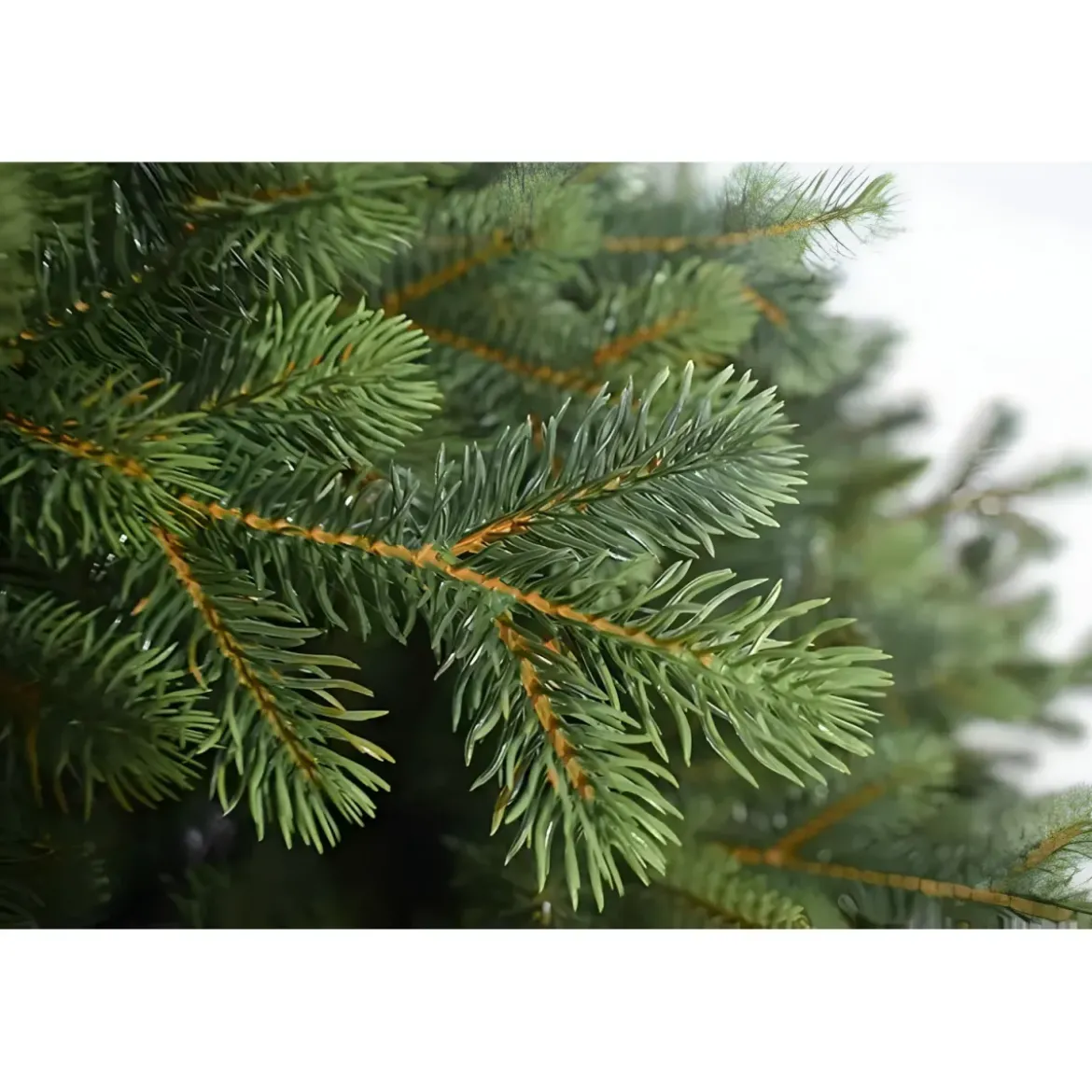 Albero di Natale 210 cm Verde PE PVC Effetto Realistico Base 140 cm