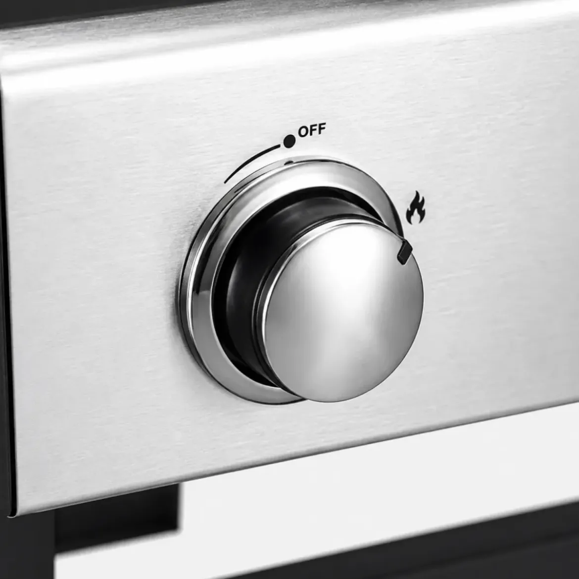 Barbecue a Gas GPL da Esterno 2 Bruciatori con Coperchio Acciaio Inox