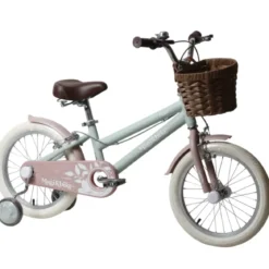 Bicicletta 16