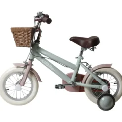 Bicicletta 12