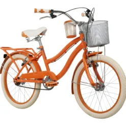 Bicicletta con Cestino Portapacchi 20