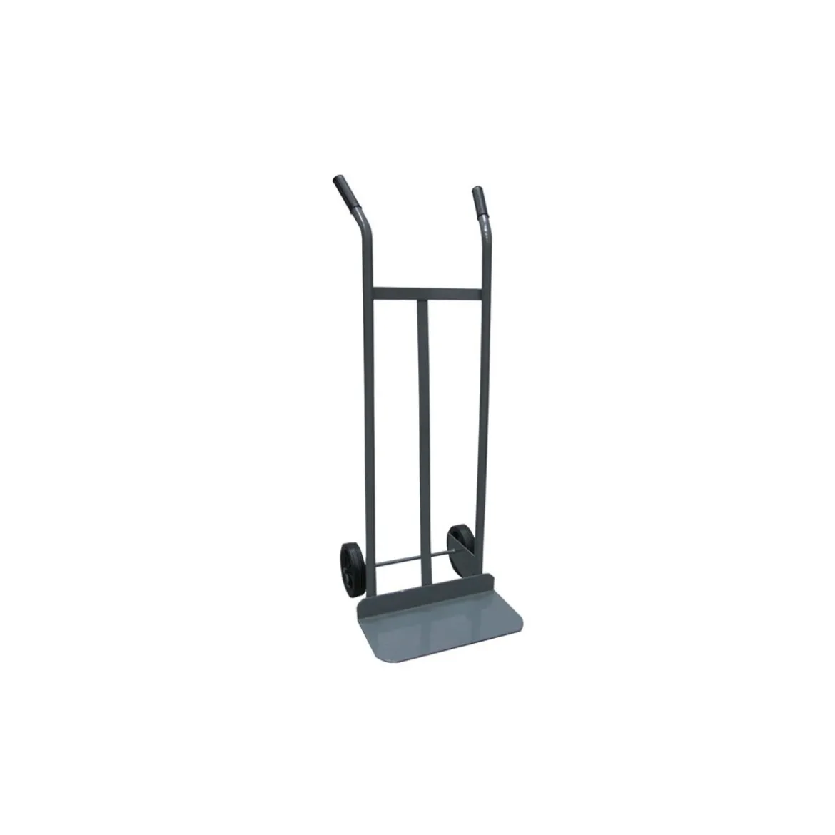 Bravetta 2 Ruote Piene Portapacchi Portata 120 Kg Carello da Lavoro Portatutto