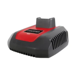 Caricabatterie Rapido 1h 40V con Indicatore LED Spina Europea