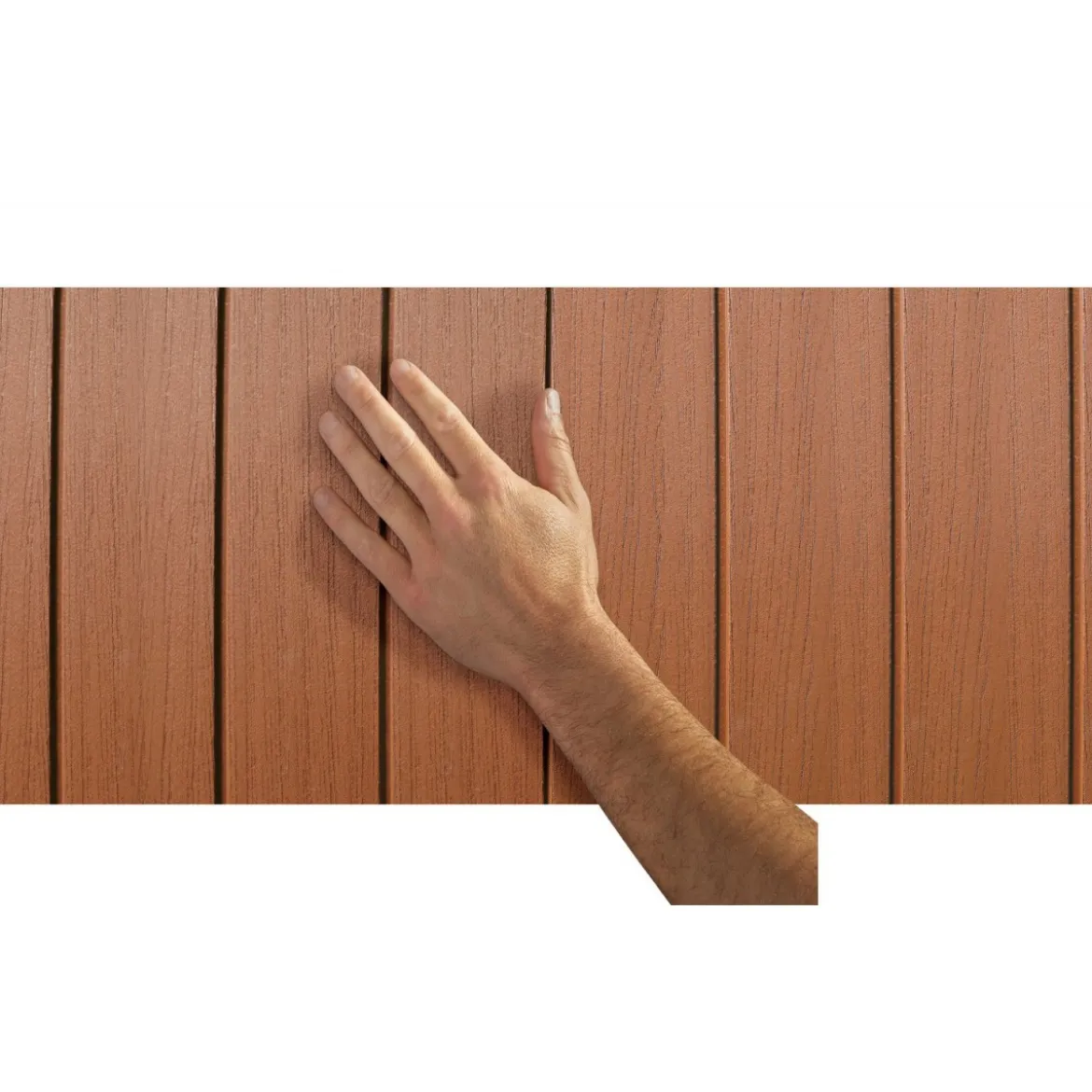 Casetta da Esterno Keter Darwin con Pavimento 190x244 cm