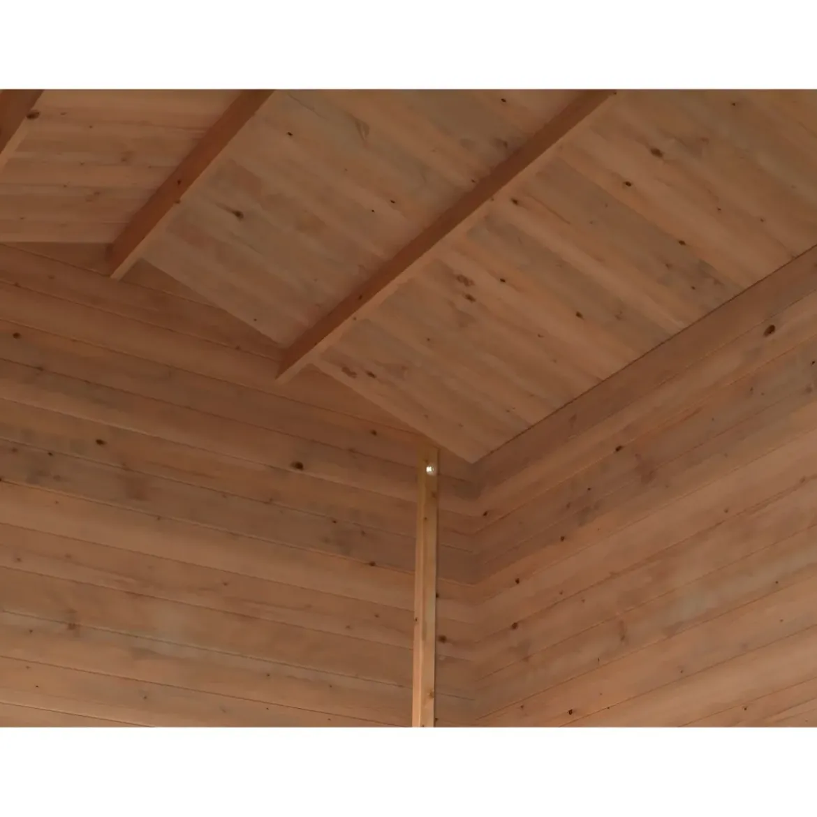 Casetta in Legno Impregnata 2.6x2 19 mm Box per Attrezzi