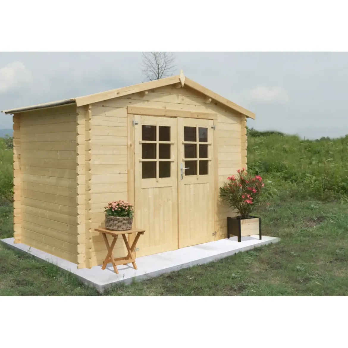 Casetta in Legno 3x3 28 mm da Giardino Rimessa per Attrezzi Blockhouse