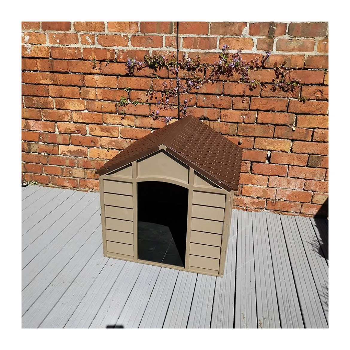 Cuccia per Cani in Resina Taglia Grande Giardino con Pavimento Interno Plastica
