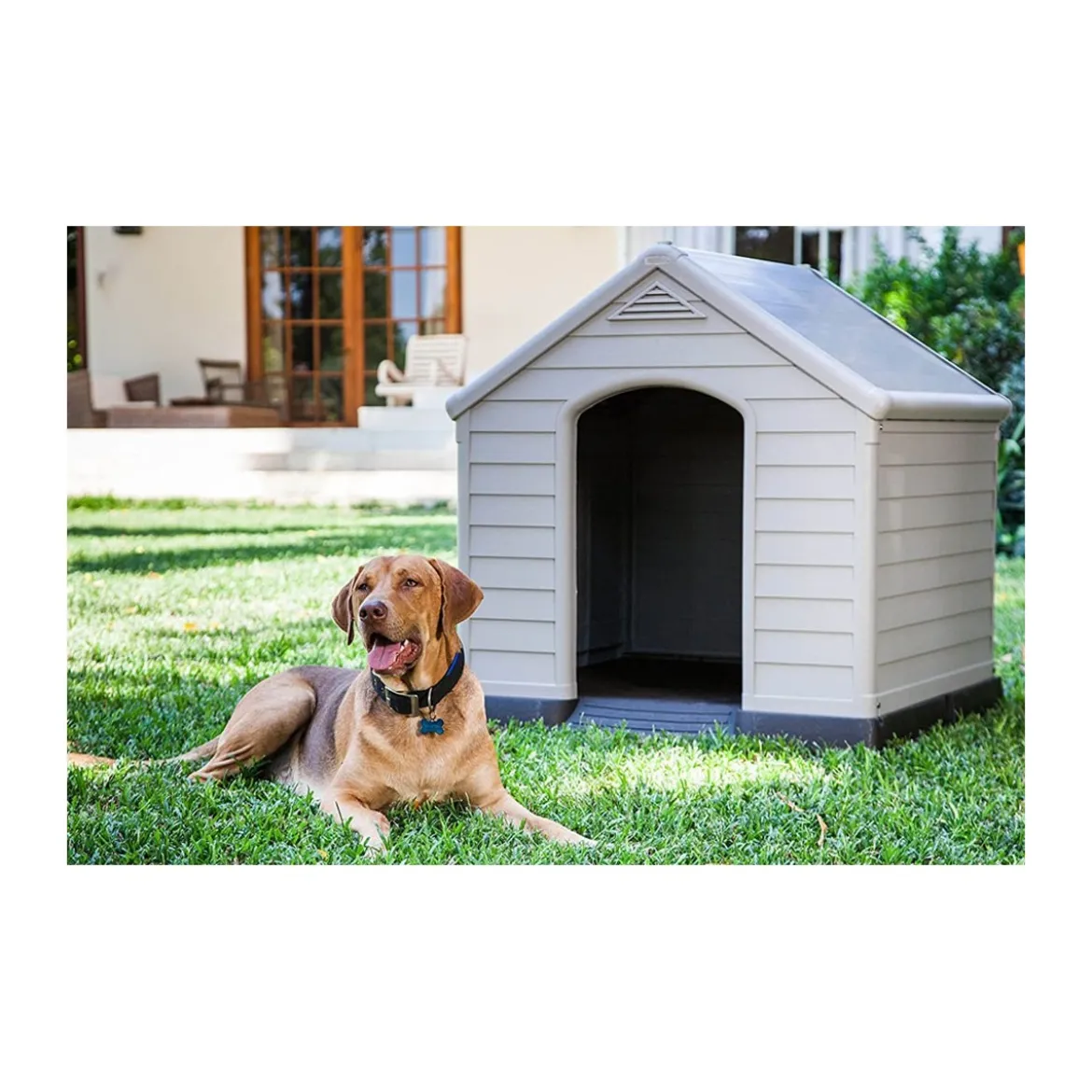 Cuccia per Cani Keter Taglia Grande Dog House in Resina