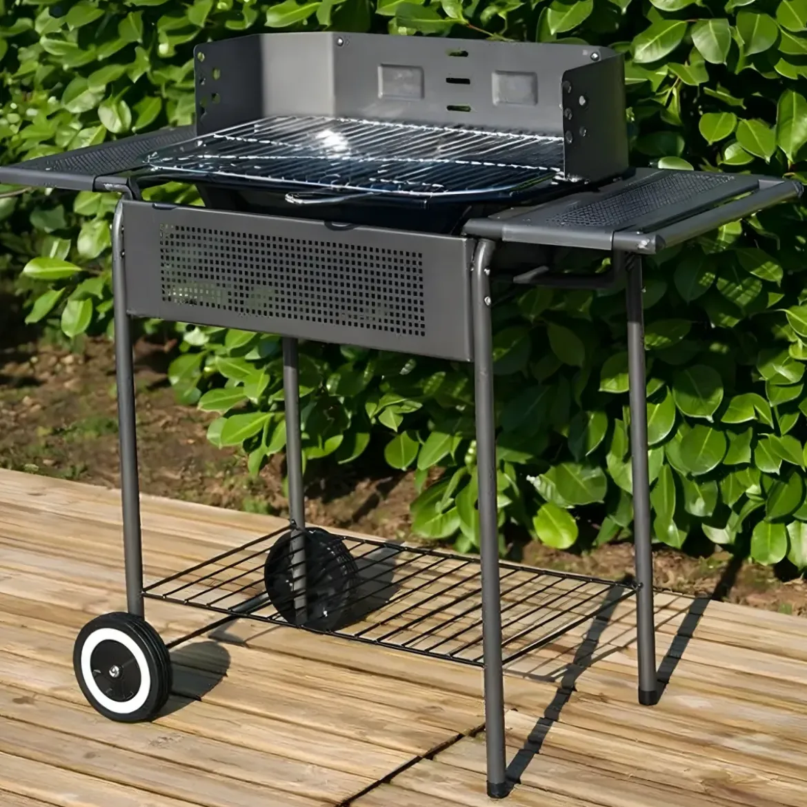 Giardino Barbecue Carbonella Legna Carbone Carrello Griglia Grigliata Terrazzo