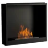 Inserto Camino TAGU FreeFlame a Bioetanolo Fiamma Libera