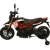 Moto Elettrica per Bambini Aprilia Scooter Dorsoduro a Batteria 12 V