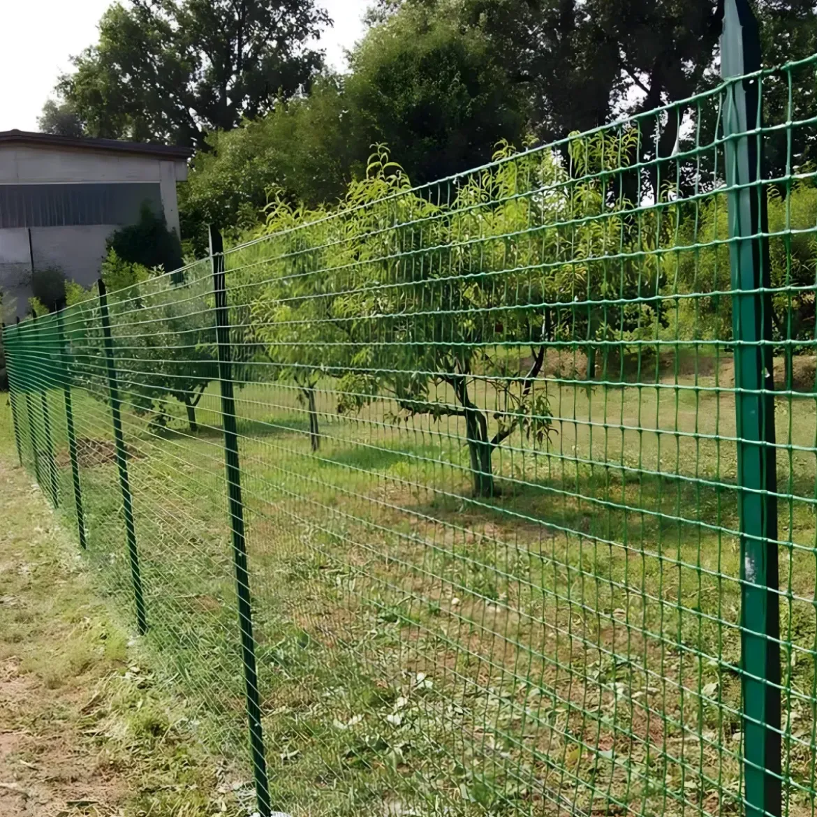 10 Paletti 125 cm per Recinzione in Ferro Plastificato Verde
