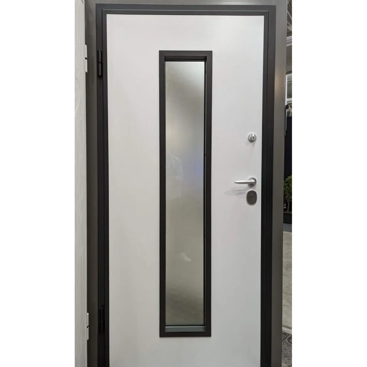 Portoncino con Vetro Porta Blindata per Esterno Pannello in Vetroresina Grigio