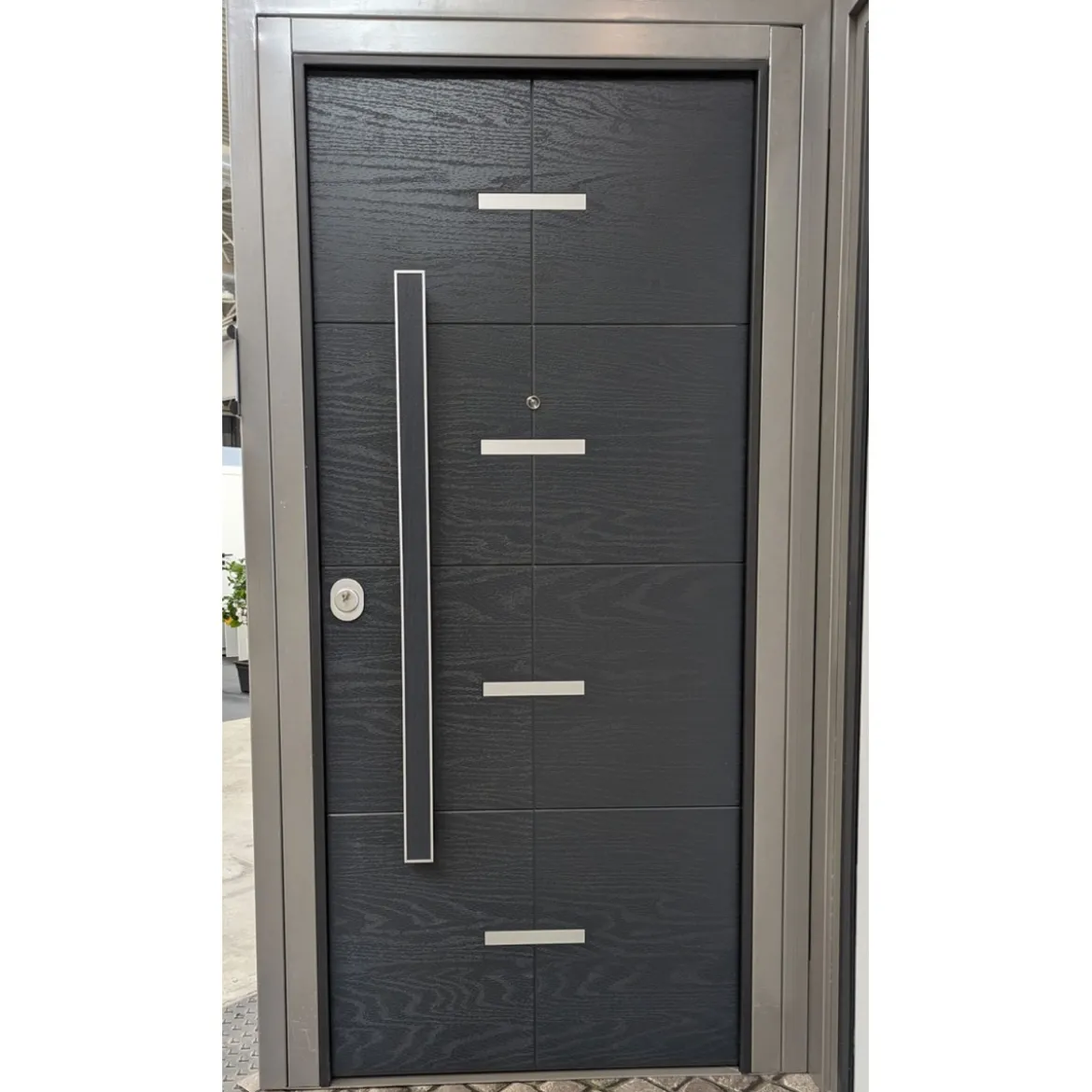 Portone Blindato in Vetroresina con Pannello per Esterno Grigio Porta Blindata