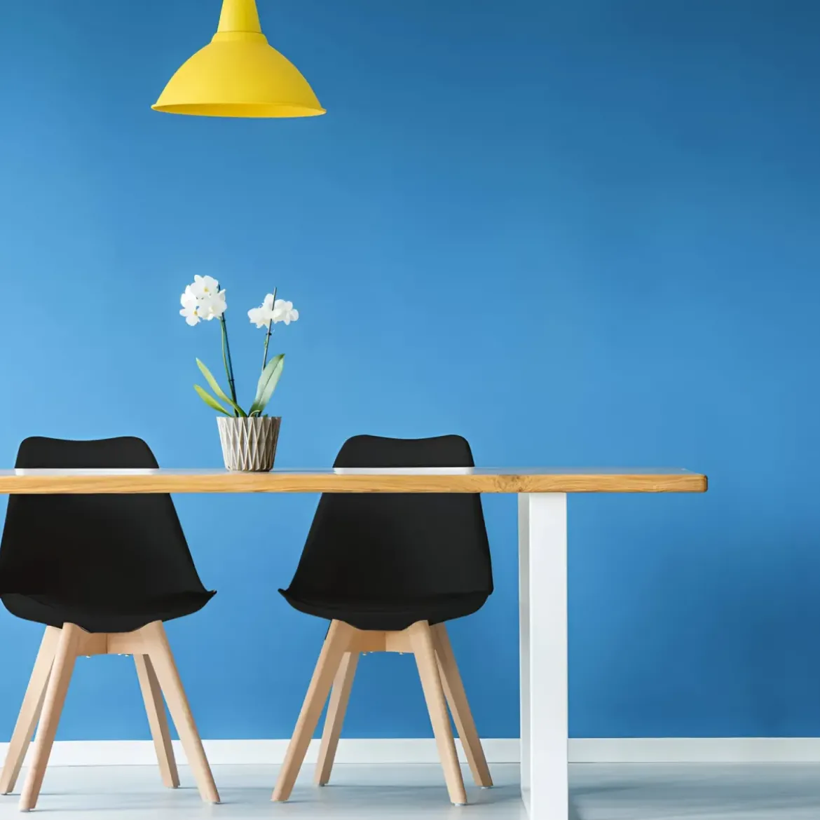 Sedia da Pranzo Moderna Gambe Legno Faccio Seduta Poliuretano Nero