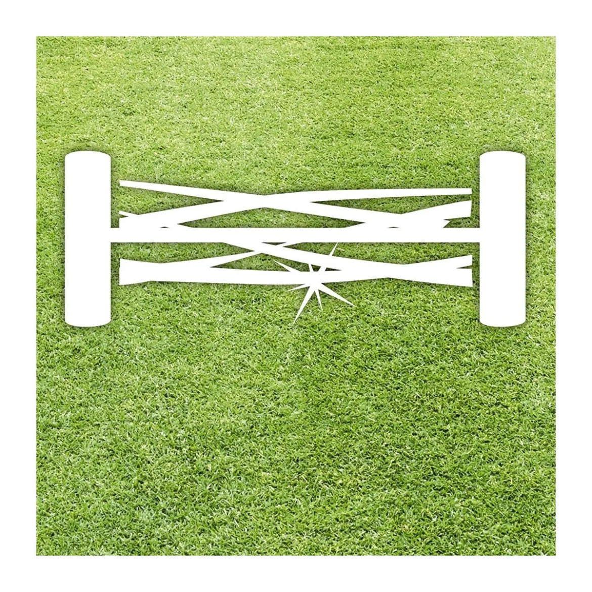Tagliaerba a Spinta Tosa Einhell Senza Filo 30 cm Prato Giardino Leggero Manuale