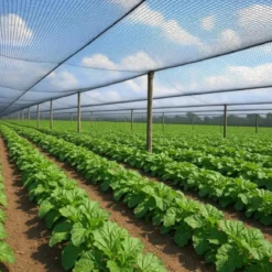 Telo Antigrandine HDPE Verde 4x100 m Ombreggiante Giardino Orto