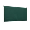 Tenda da Sole a Caduta 200x250 Verde Rullo Avvolgibili Balcone Soffitto Terrazzo