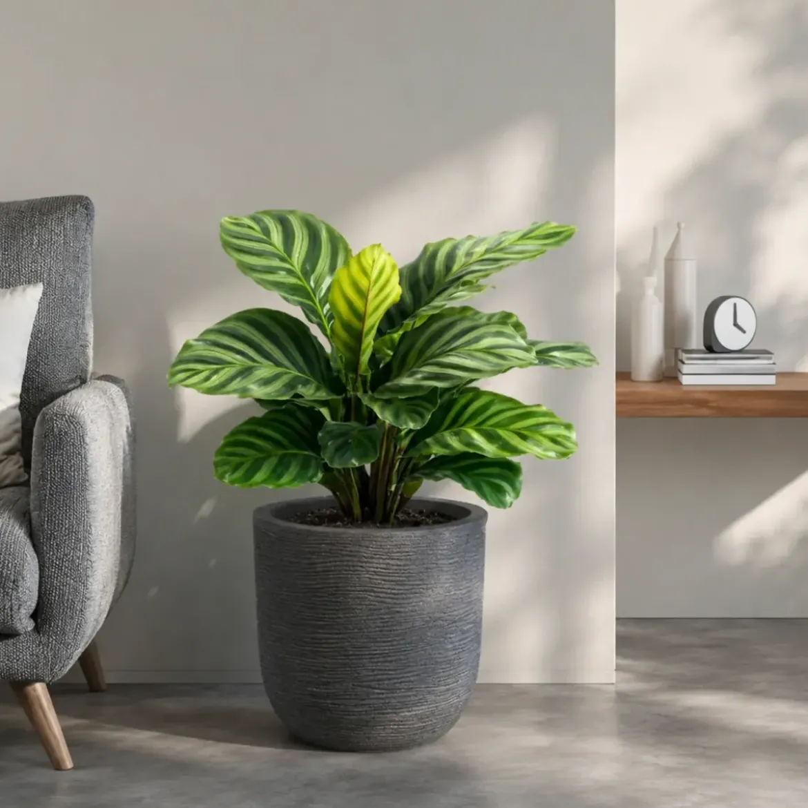 Vaso in Resina Grigio 35x34 Resistente Raggi UV Materiale Riciclabile