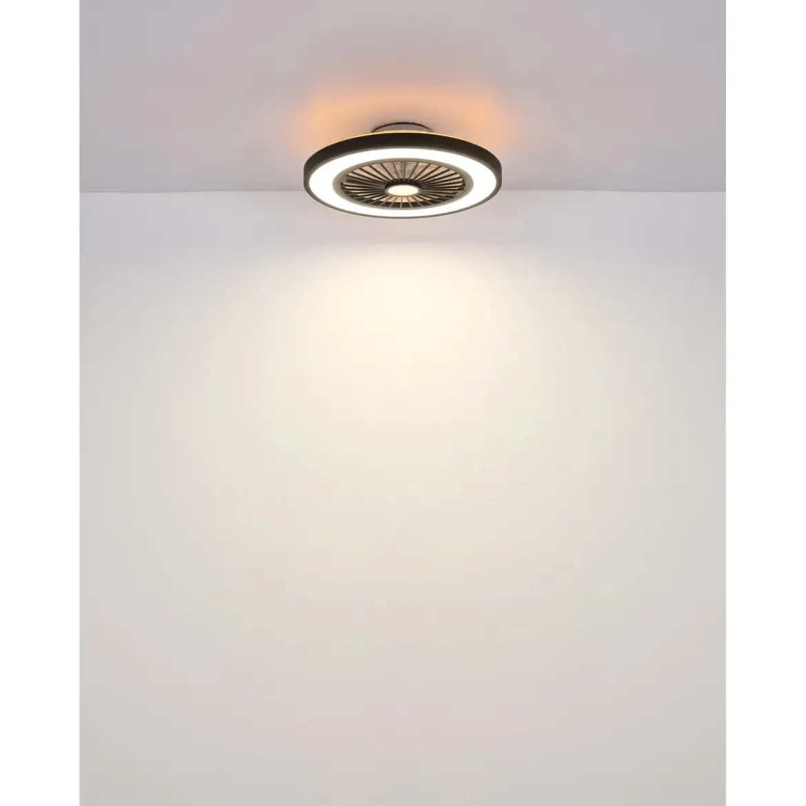 Ventilatore da Soffitto con Luce 54 cm Nero Telecomando Luce Notturna