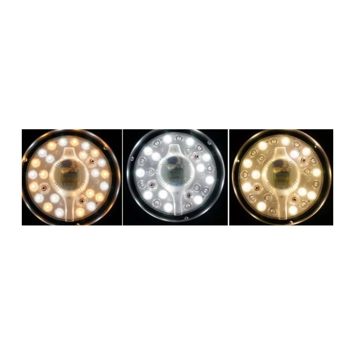 Ventilatore da Soffitto con Luce LED Lampada Lampadario Elettrico Telecomando