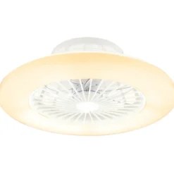 Ventilatore da Soffitto con Luce in Metallo Bianco 50 cm Telecomando