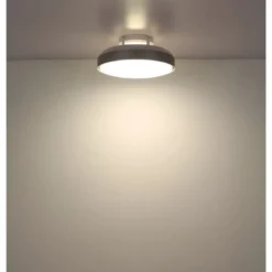 Ventilatore da Soffitto Plafoniera LED Dimmerabile 45 cm Bianco Argento